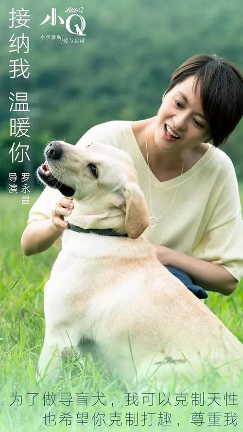 怎么购买挪威驾照